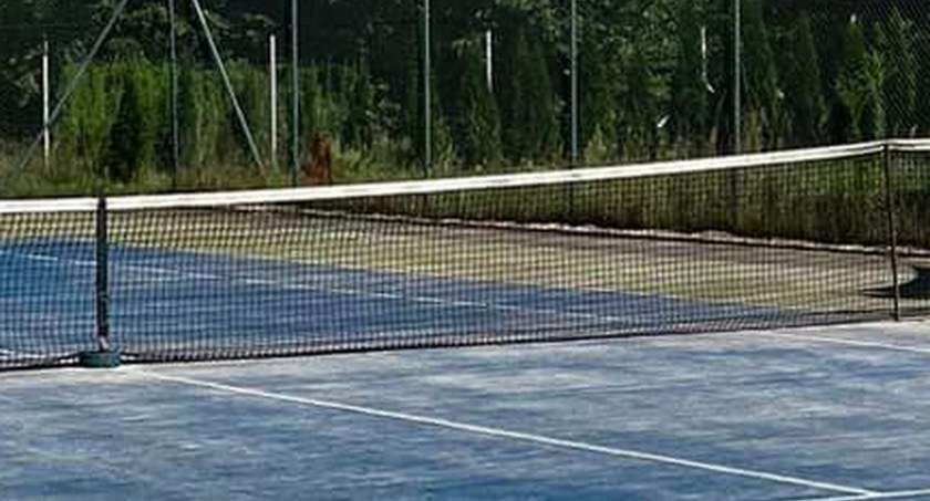 W Czerwonym Moście odbył się kolejny turniej z cyklu Red Bridge Cup 2023