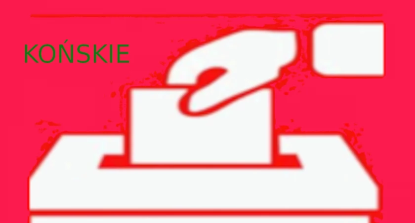Zobacz kto wygrał w wybory w Końskich. Kto zbierał nasze głosy?