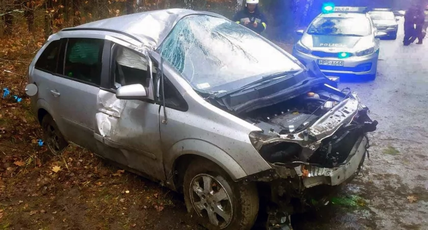 GOSAŃ. Opel po uderzeniu w brzozę. Dwie osoby trafiły do szpitali