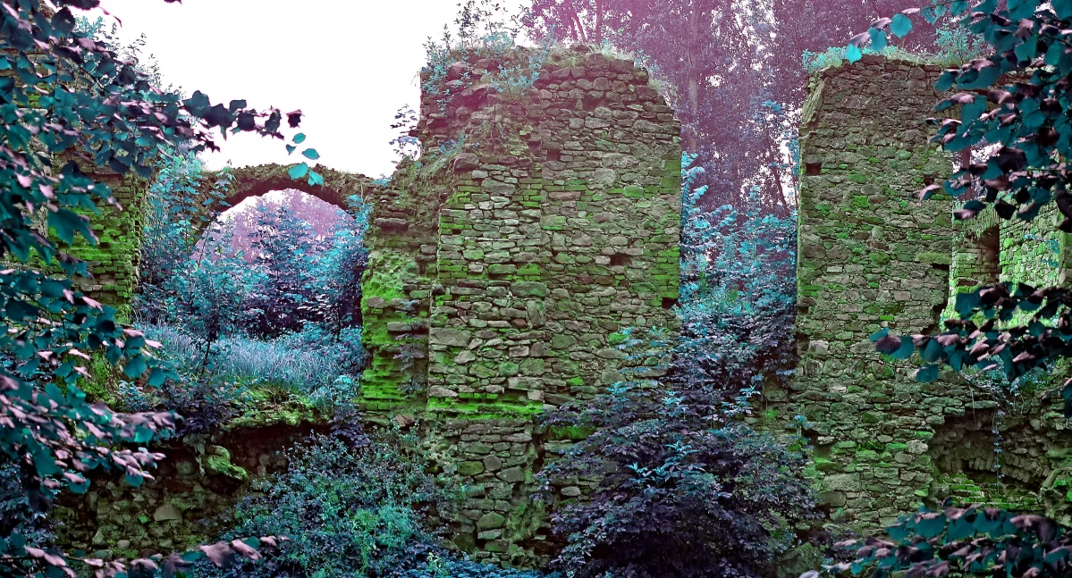 RADOSZYCE, KAZANÓW, FAŁKÓW. Dwa zamki Jagiełły pochłonął czas. Ostały się ruiny rycerskiego bastionu w Fałkowie [ZDJĘCIA]