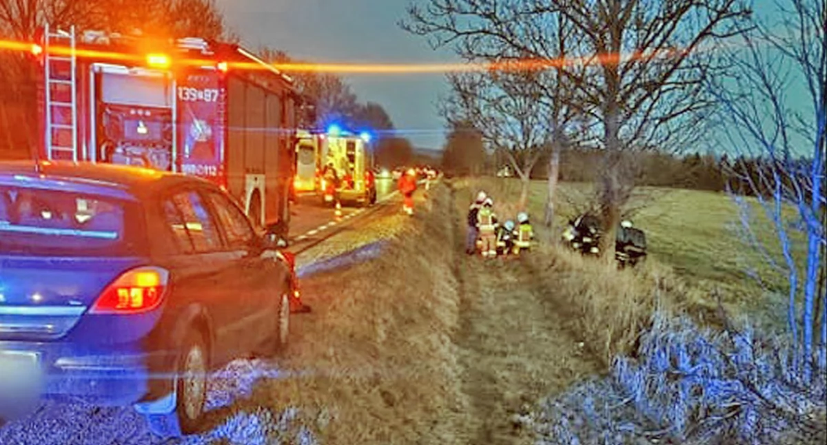 ODROWĄŻ. Honda wypadła z jezdni i uderzyła w drzewo. Pasażerka trafiła do szpitala