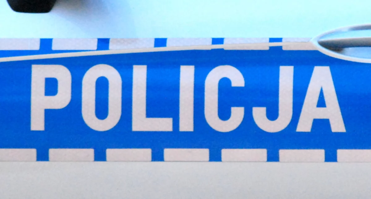 STĄPORKÓW. Z lasu znikają drzewa, z domu pieniądze