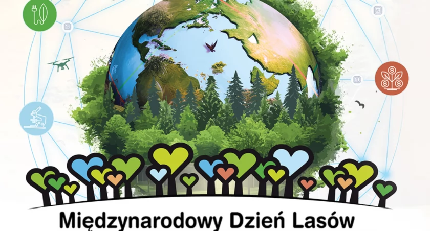 Dziś Międzynarodowy Dzień Lasów. Zobacz, co zaplanowano w twojej okolicy
