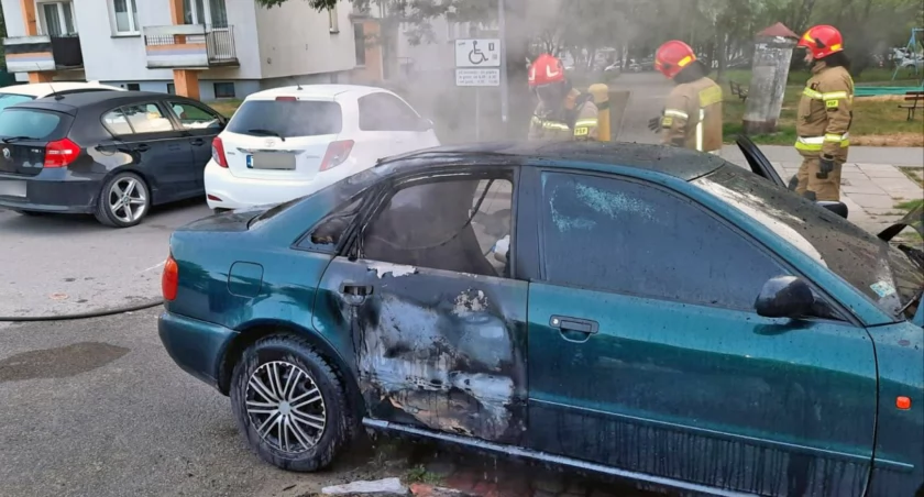 POWIAT KONECKI. Audi w opałach, a potem łoś
