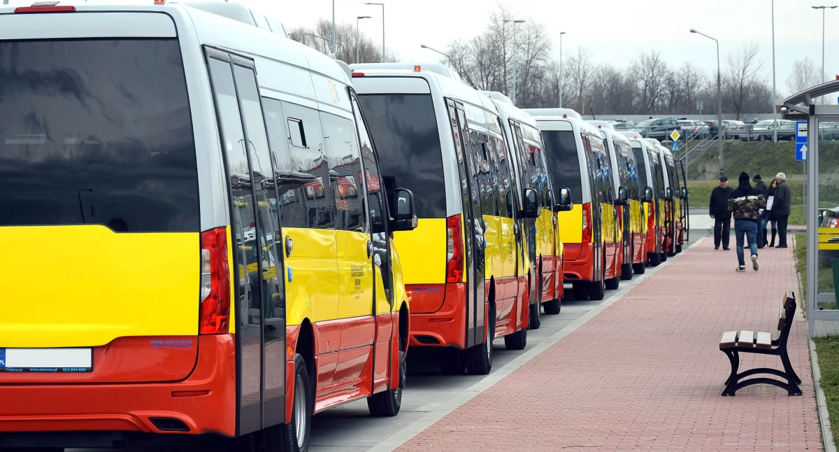 KOŃSKIE - SIELPIA - ANTONIÓW. Weekendowa komunikacja na pełnym biegu