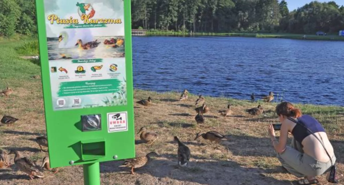 Browary. Karczma dla ptaków, automat dozuje ziarno