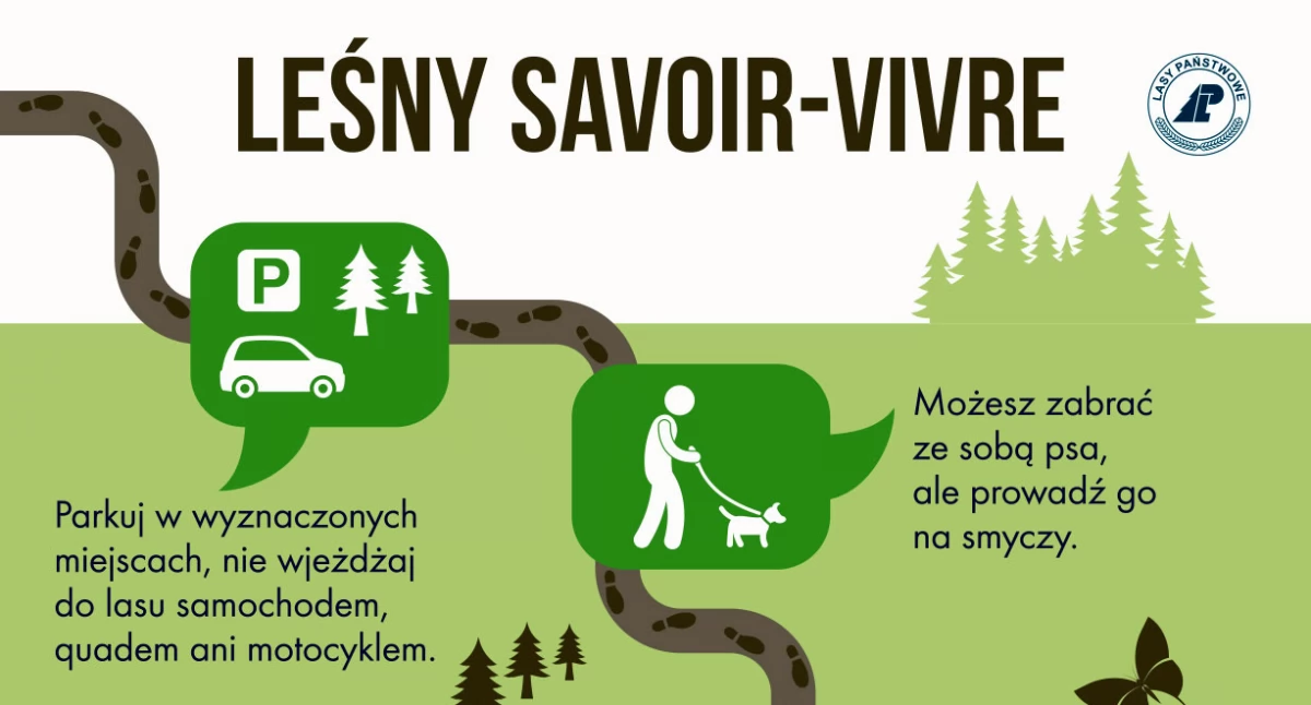 Lasy naszym wspólnym dobrem. Jak o nie dbać?