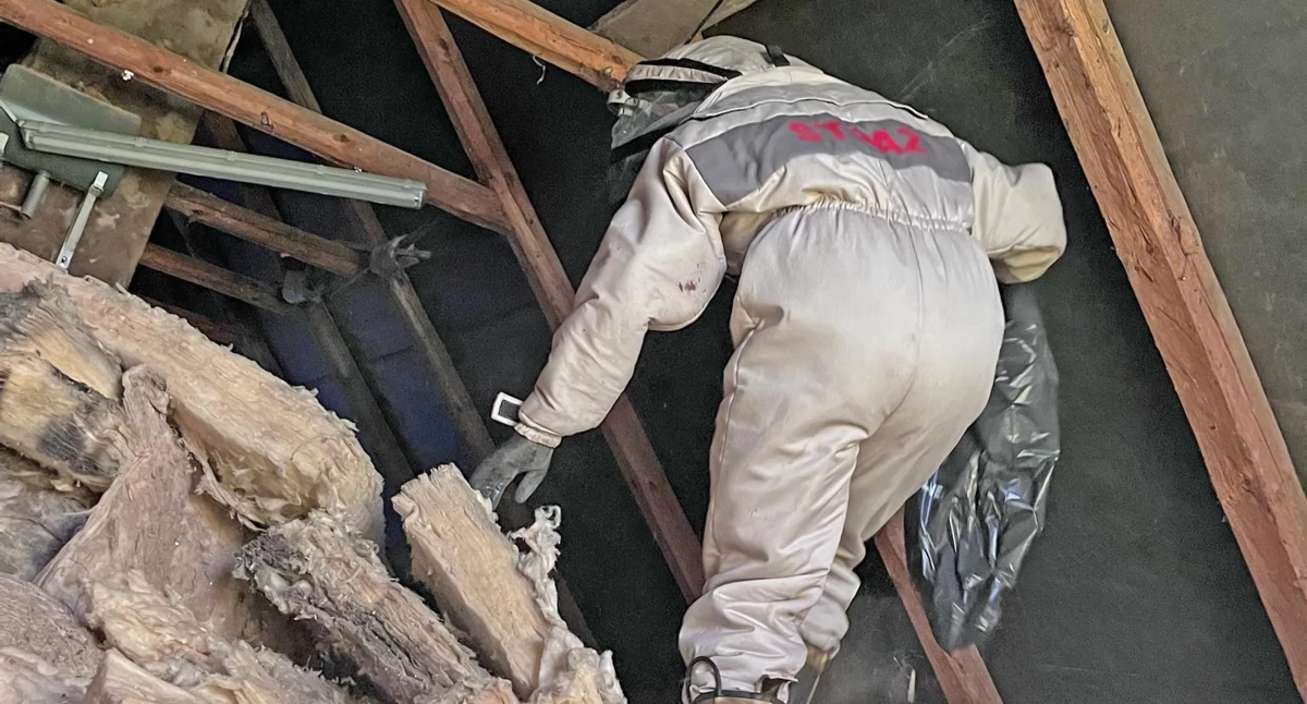 POWIAT KONECKI. Strażacy w walce z owadami. Nie mają obowiązku ale nikogo nie zostawią bez pomocy