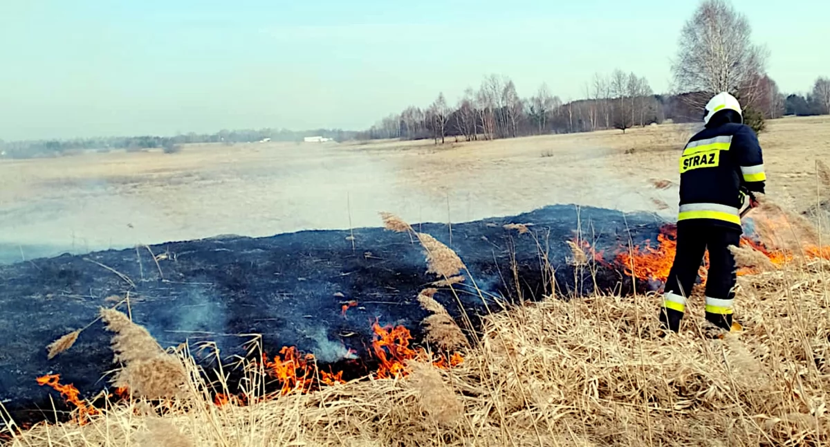 Zimowe pożary zwiastują wiosnę? Podpalanie traw się zaczęło! Strażacy ochotnicy biją na alarm!