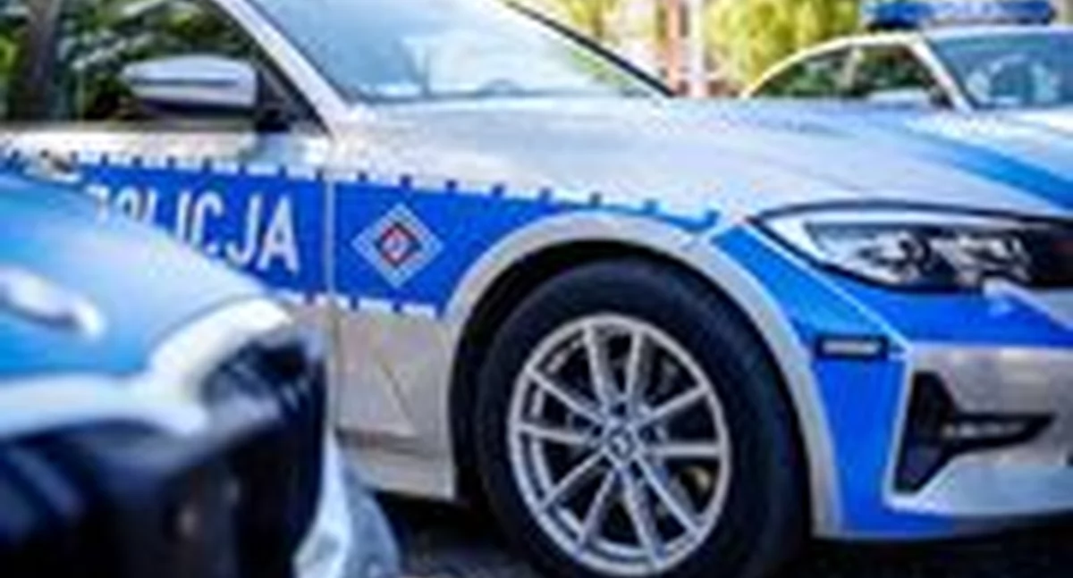 POWIAT KONECKI. Złodziejska profesja nie zaginie. Nie ma dnia, by złodzieje nie dawali o sobie znać
