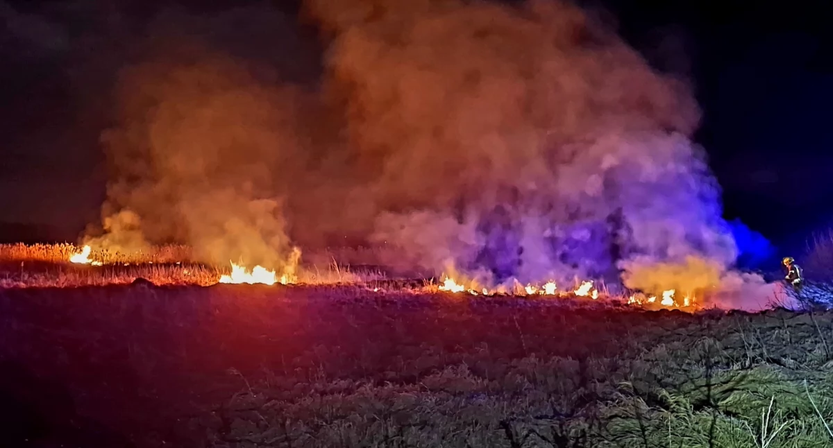 Pożar trzcinowiska w Radoszycach. Strażacy apelują o rozwagę i ostrożność. Wypalanie traw jest nielegalne!