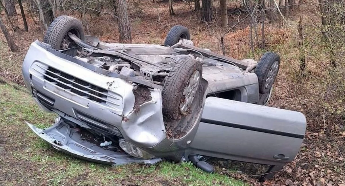 ODROWĄŻ. Nissan dachował na łące, a jego 92-letni kierowca ukarany mandatem