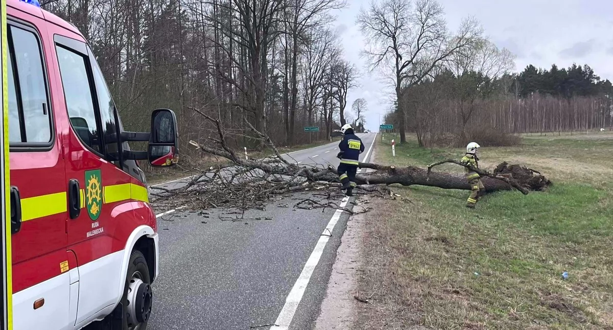 Podwójna interwencja druhów strażaków z OSP Ruda Maleniecka na drodze krajowej nr 42