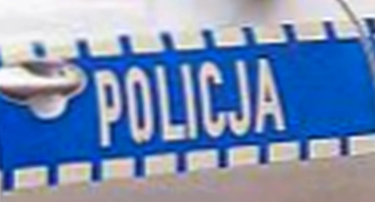 GMINA GOWARCZÓW. Samochodem przez płotki.... Potem kierowca w długą, ale na wiele to się nie zdało