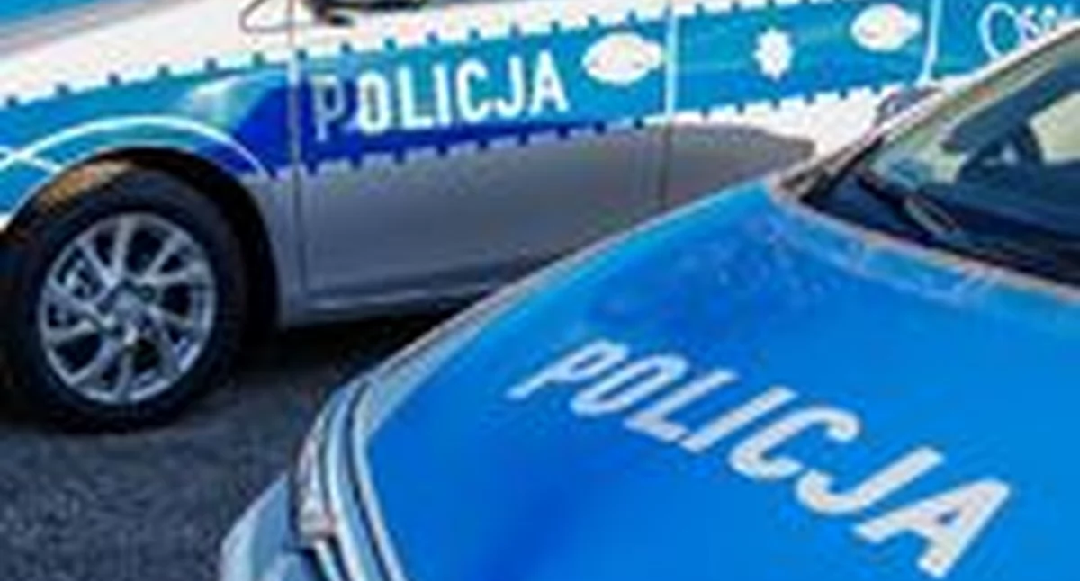 POWIAT KONECKI. Na krawędzi kodeksu karnego. Złodzieje kradną, oszukują bliźnich