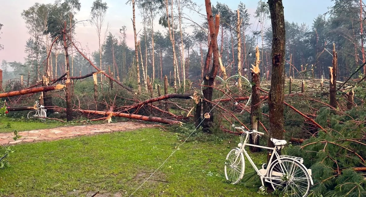 PILNE!!! GMINA RUDA MALENIECKA. Bezwzględny zakaz wstępu do lasów dla osób postronnych po nawałnicy