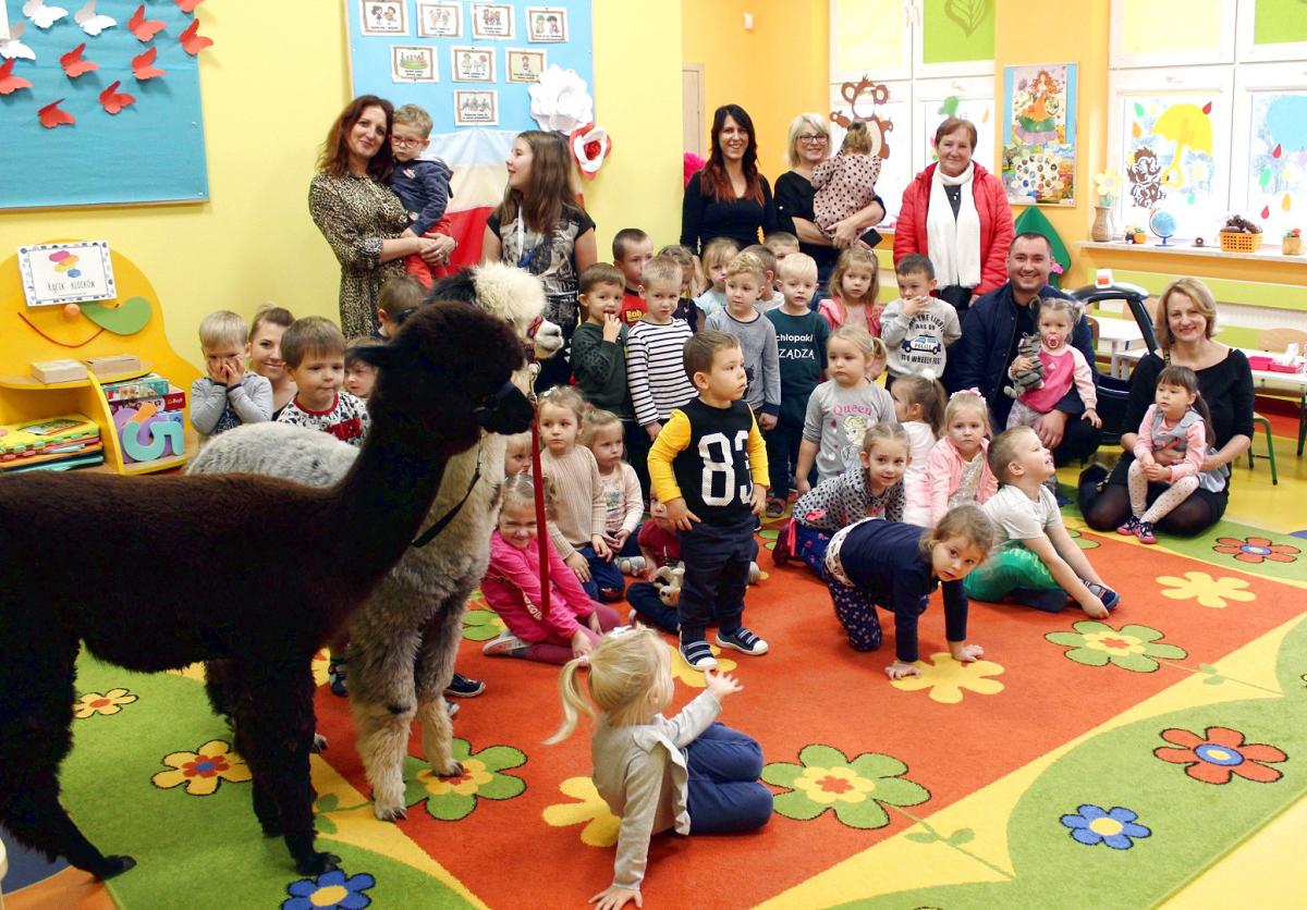 Miłość od pierwszego wejrzenia w Przedszkolu w Smykowie [zdjęcia]