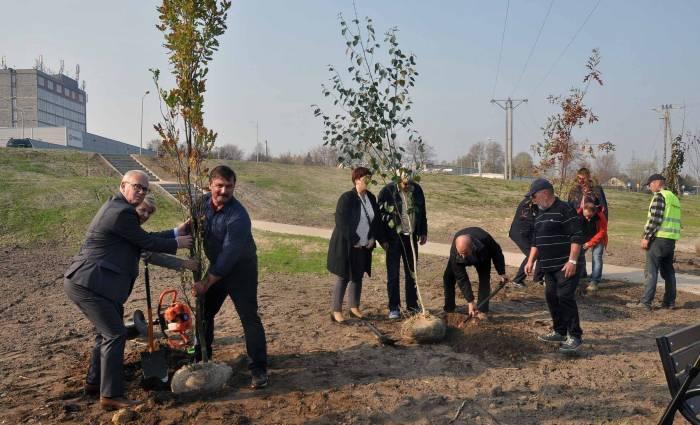 Nowości przy zbiorniku na Starym Młynie