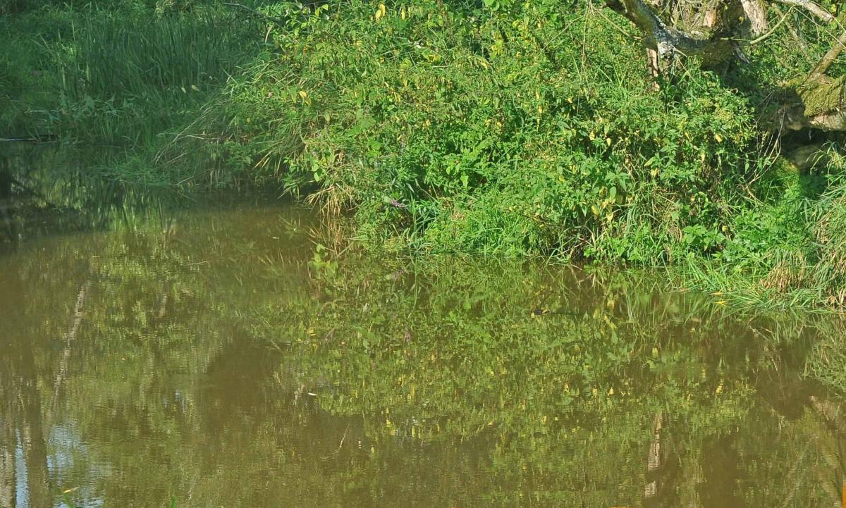 Spienione osady wlały się do rzeki. Czy zaszkodziły ludziom?