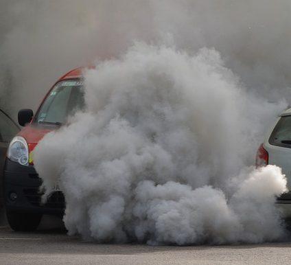 Doszczętnie spłonął fiat punto