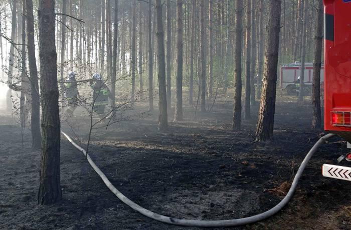 Spłonął quad na leśnej drodze