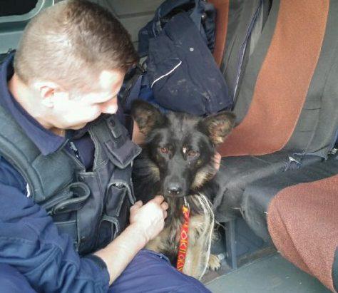 Policjant adoptował porzuconego psa