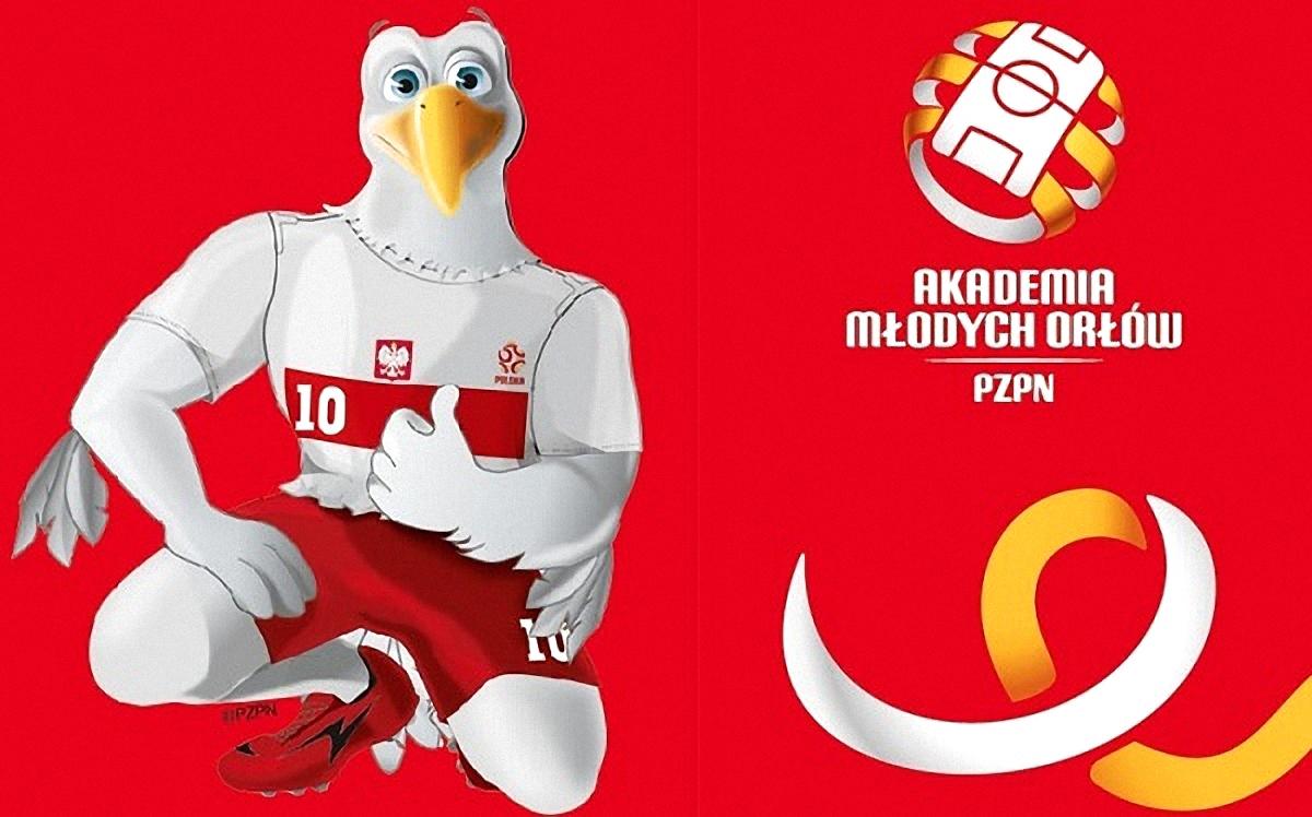 AMO w Kielcach poszukuje wolontariuszy