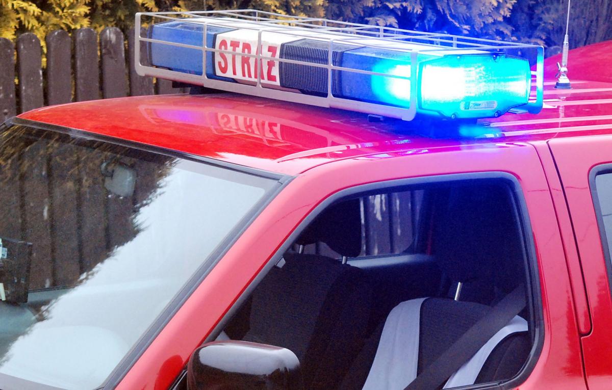 Alarm!. Atakują żądlące owady!