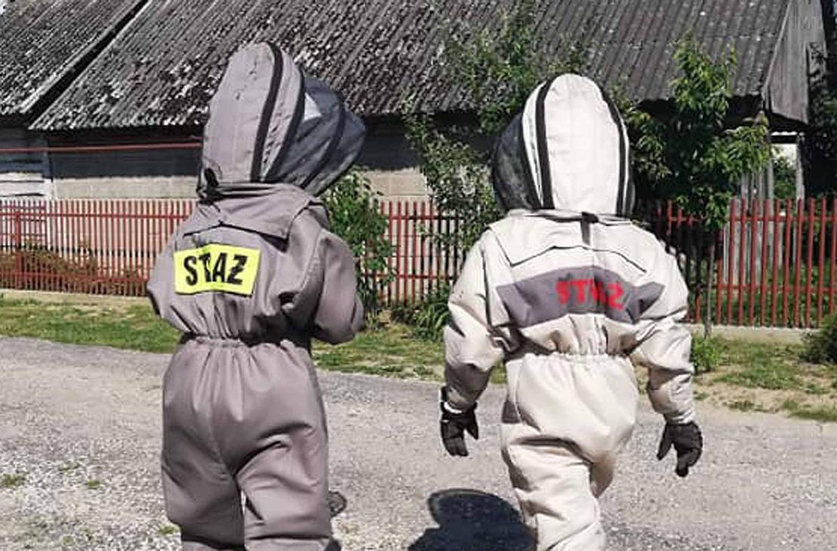 Szerszenie i osy w natarciu. Nie drażnić owadów!