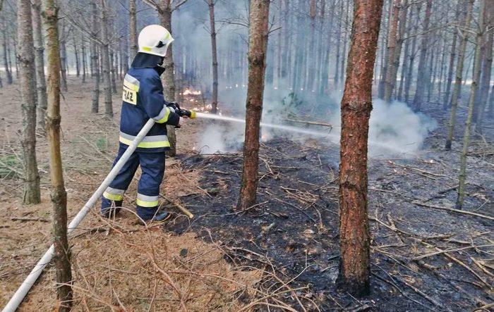 Barbarzyński proceder trwa!