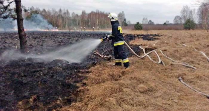 Od początku roku trawy płonęły już 87 razy. To podpalenia!