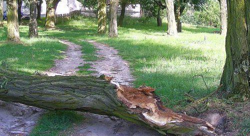 Wichrowa noc!