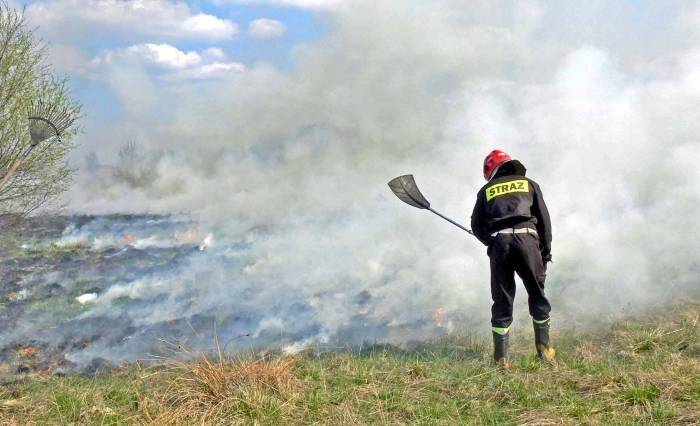 Piromani ruszyli w teren. Podpalają suche trawy