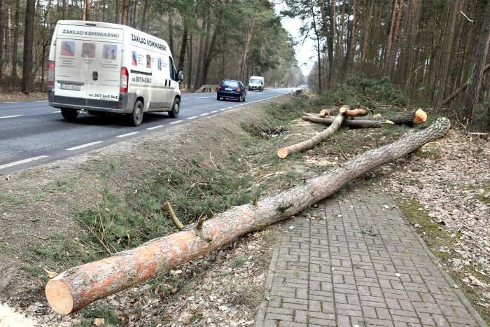 Powstaje ścieżka do cmentarza w Rudzie Malenieckiej
