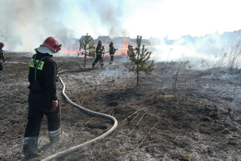 Znów płoną trawy