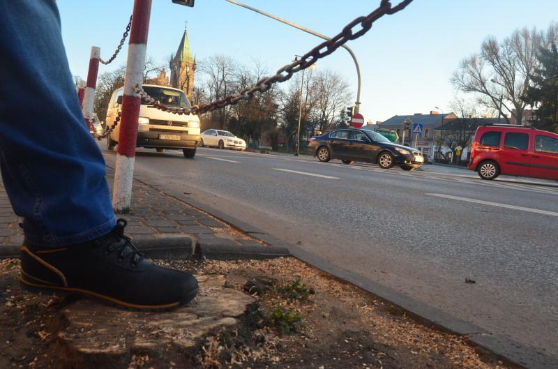 Będzie nowa zieleń w centrum