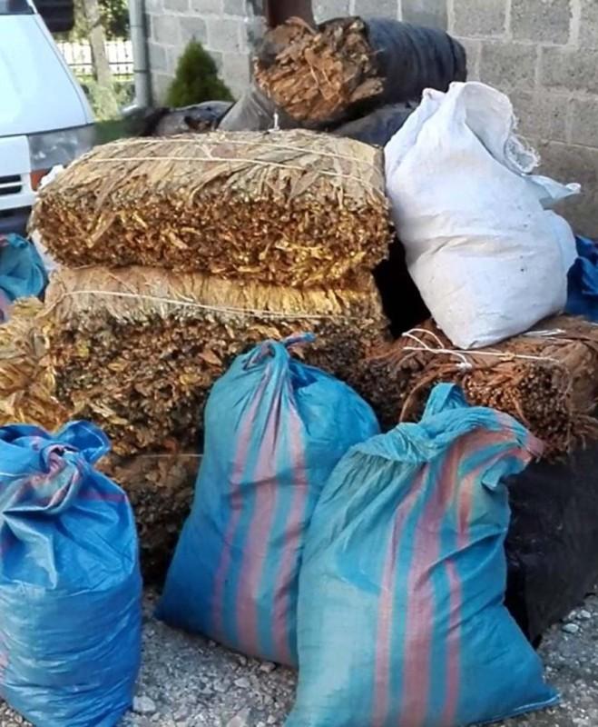 Nielegalne przetwórnie tytoniu zlikwidowane