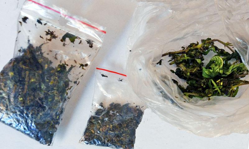 Marihuana na kanapie i w kieszeni