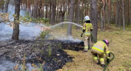 Pożar lasu w Zychach - akcja strażaków OSP KSRG Ruda…