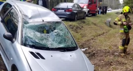 Wypadek! Osobowy peugeot wpadł na pobocze i dachował…