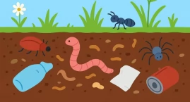 Gleba to skarb – jak odpady mogą ją niszczyć i jak m…