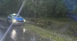 RADOSZYCE - SIELPIA. Poszedł na grzyby i zaginął. Zn…
