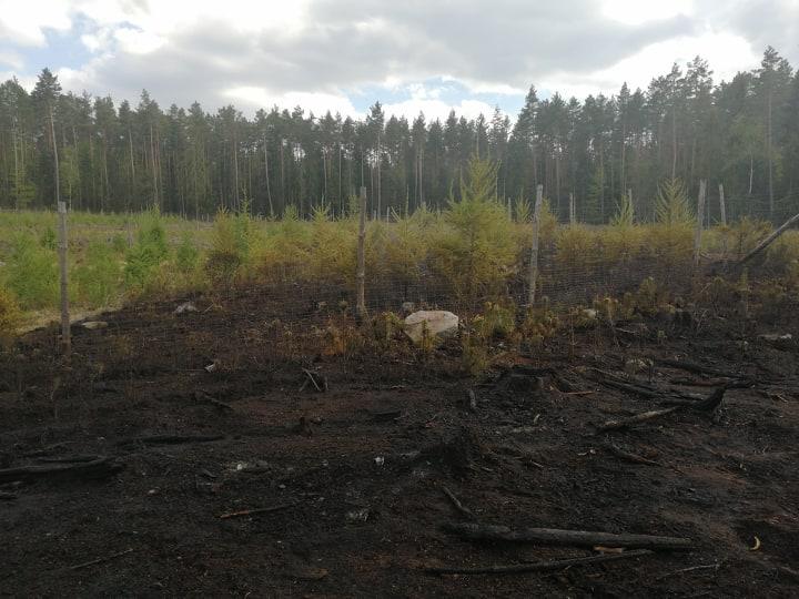 Pożar ugaszono w zarodku