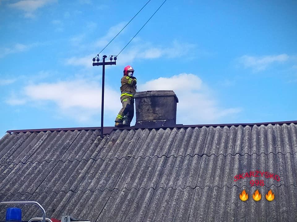 Paliły się sadze!