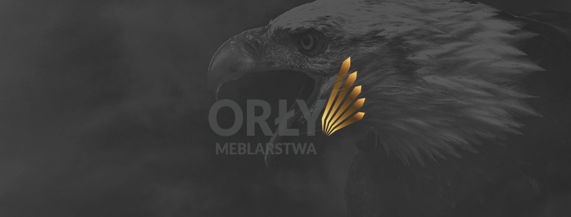 Meble na wymiar z „Orłami Meblarstwa”