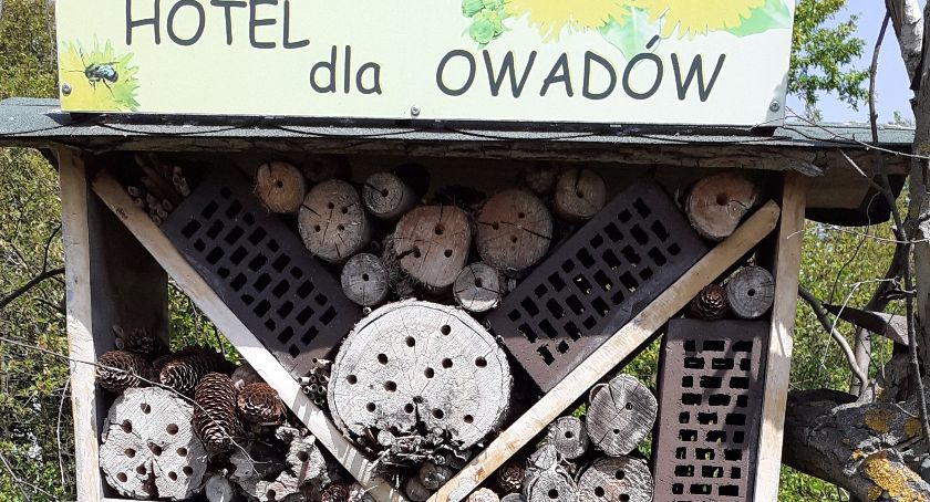 Rolniku, sadowniku nie truj pszczół