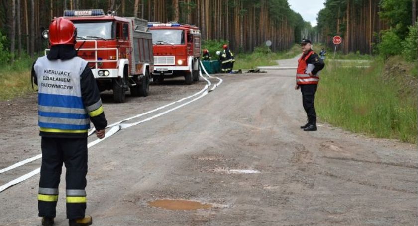W Kierzu Niedźwiedzim palił się las.  Skarżyscy strażacy uczestniczyli w ćwiczeniach na terenach leśnych Nadleśnictwa Skarżysko.