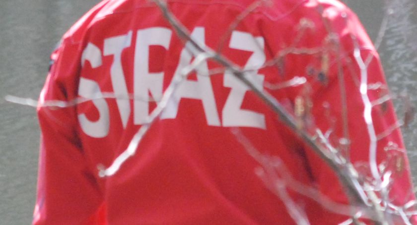 Papuga sprytniejsza od skarżyskich strażaków. Nie pomogła nawet drabina z koszem 