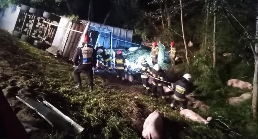 TIR ze zwierzętami w rowie. Nie żyje kierowca...
