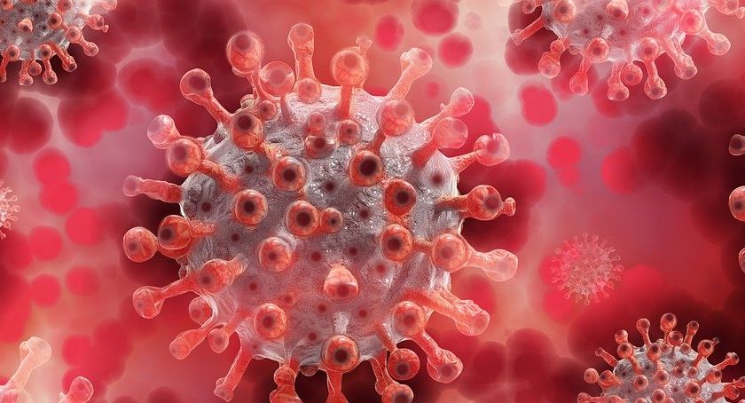 Koronawirus. Zmarło już ponad 30.000 osób. Najnowszy raport z kraju, województwa i powiatu skarżyskiego